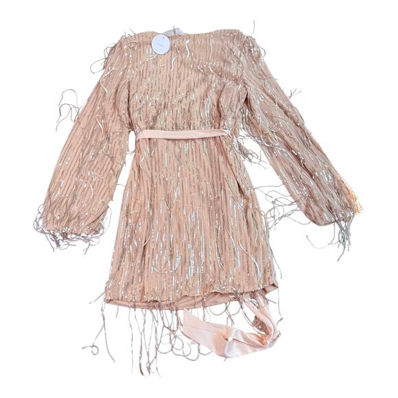 NEW En Creme Mini Robe WRAP DRESS & BELT Silver Sequin Fringe Women's MED Nude - Picture 2 of 13